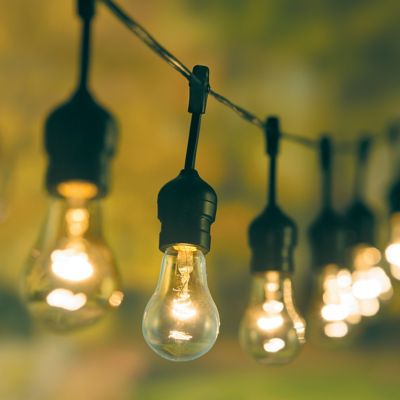 Clear Filament 24 Bulb String Lights Edison Improvements Catalog